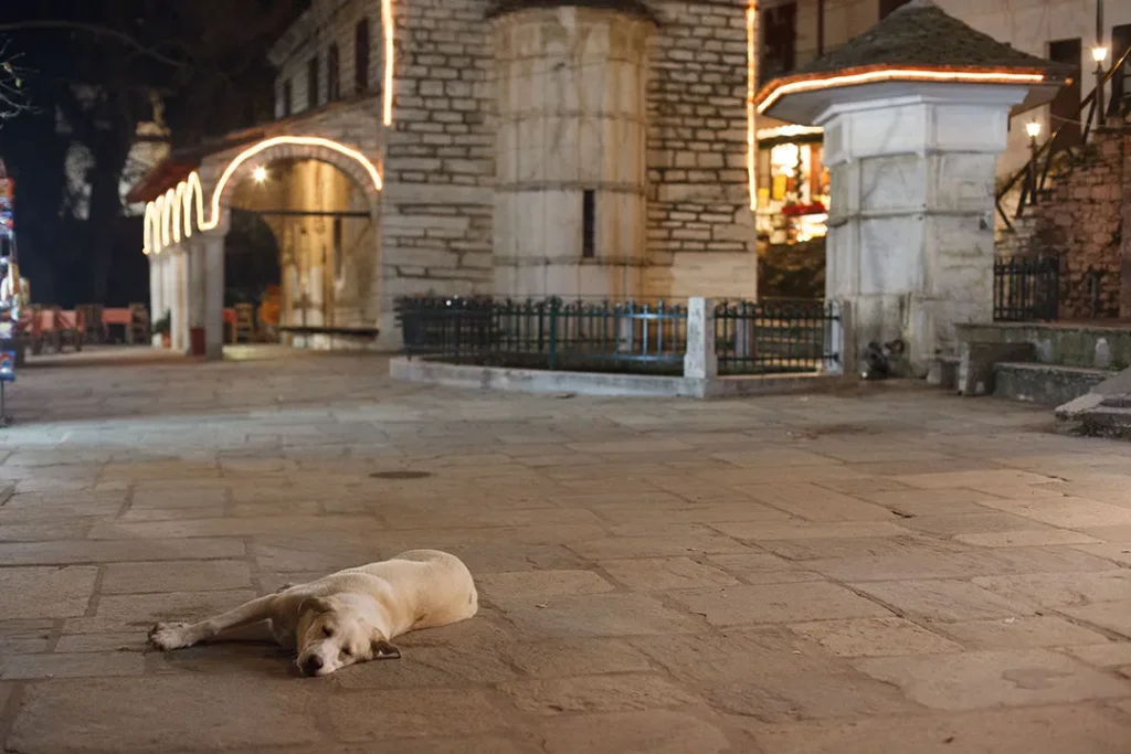 Μακρινίτσα by night