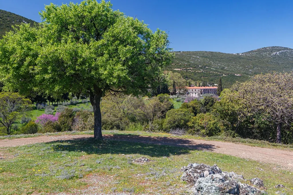 Παναγιά Ξενιά