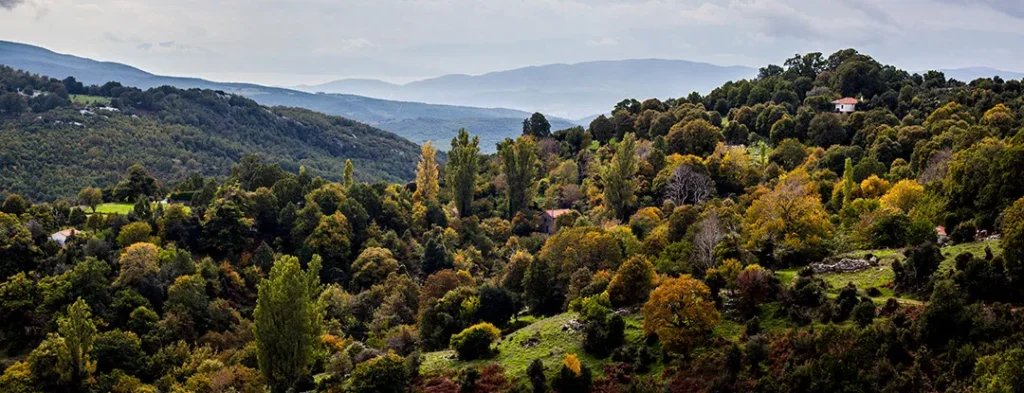 Φθινοπωρινό Πήλιο