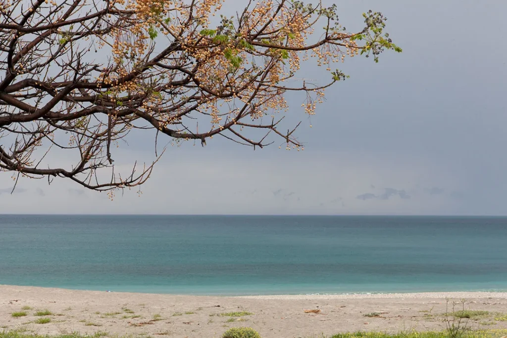 Χορευτό μετά την βροχή