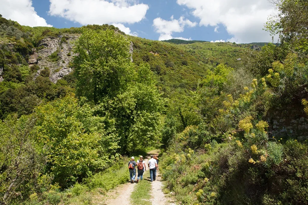 ανοιξιάτικη εξόρμηση