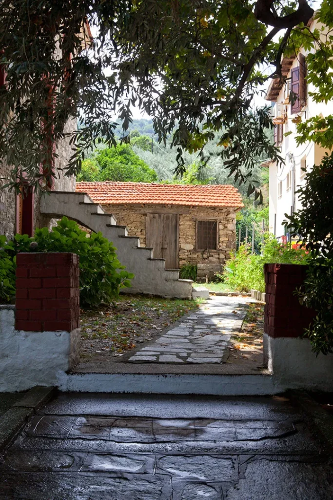 μετά την βροχή Χορευτό