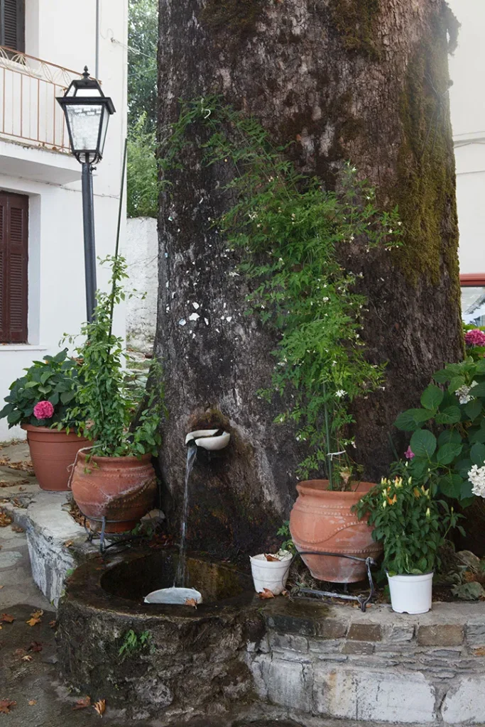 πηγή στην Ζαγορά