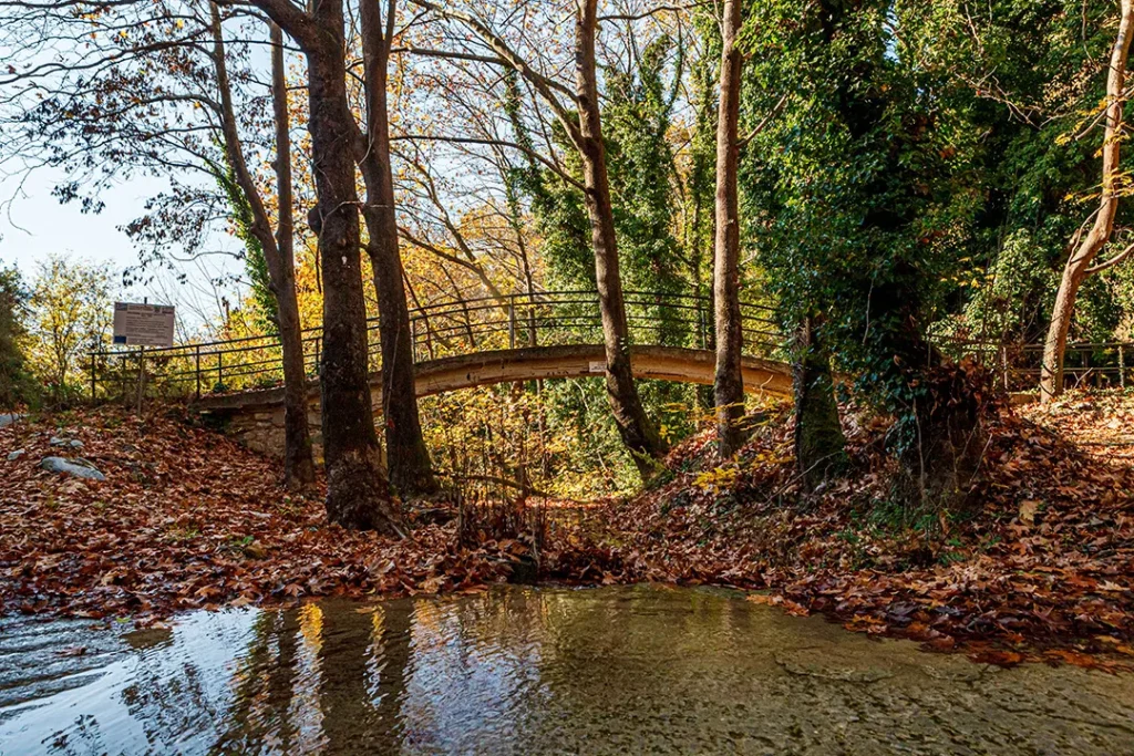 στο Κατηχώρι