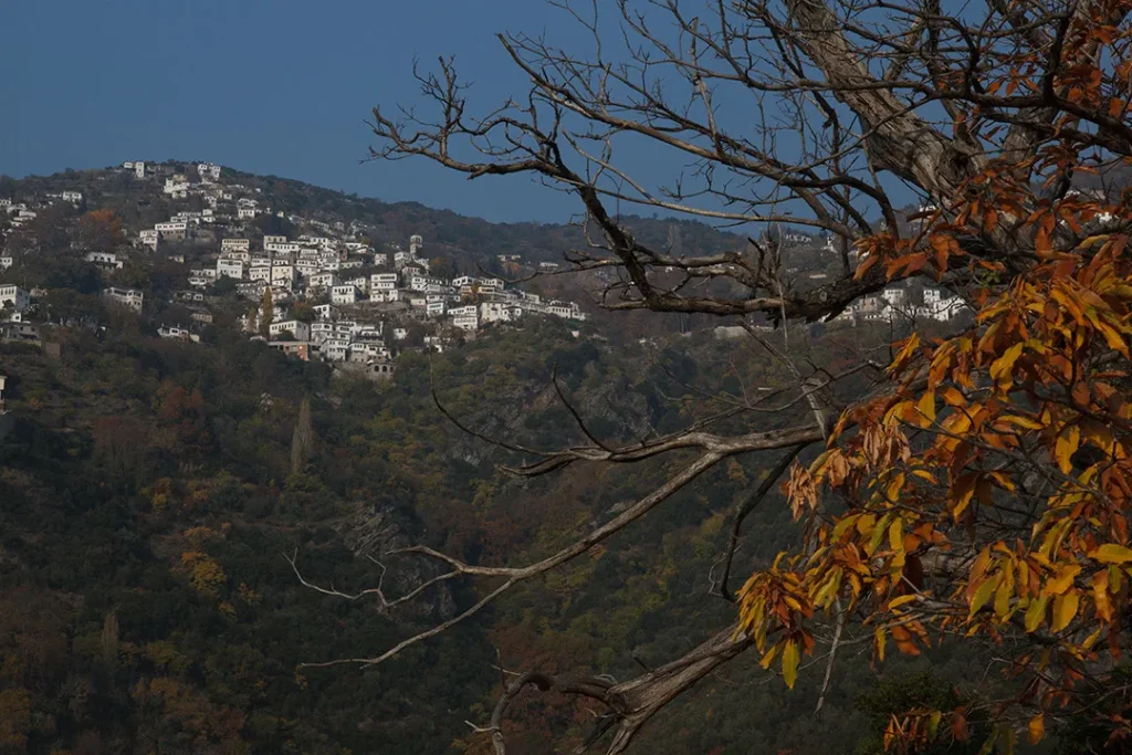 στο μονοπάτι προς Μακρινίτσα