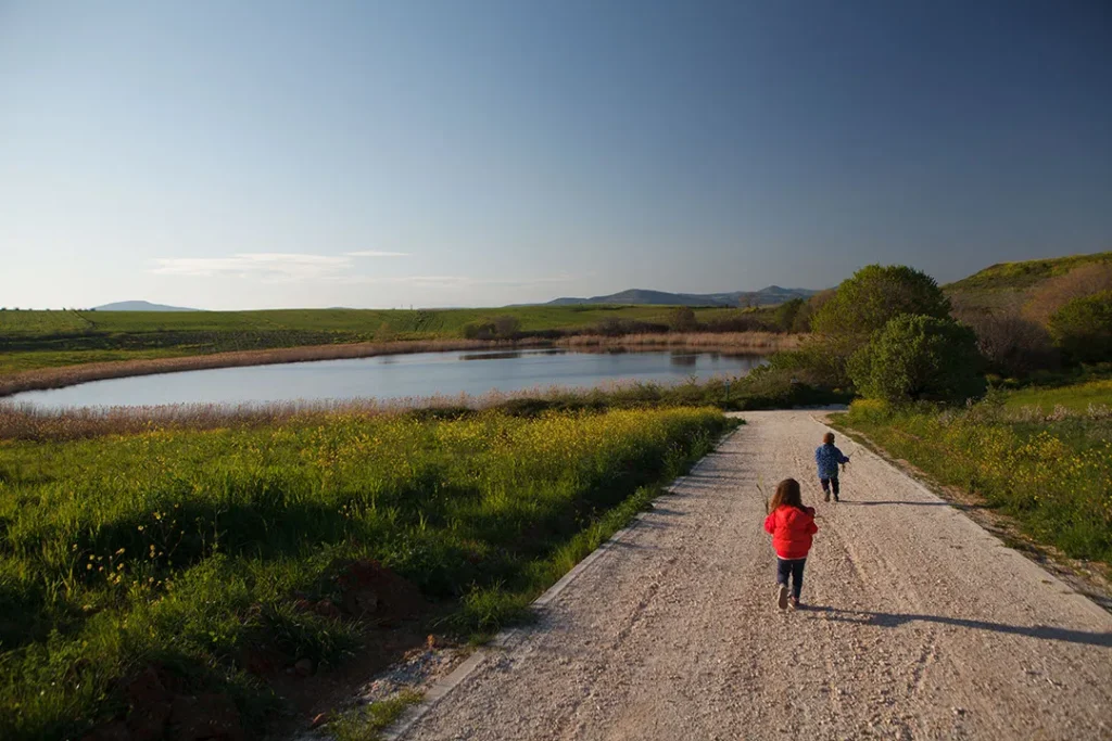 το μικρό Ζηρέλι